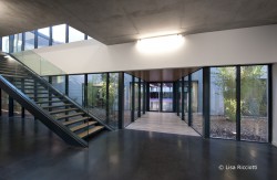 FAZ_6242 © Lisa Ricciotti copie